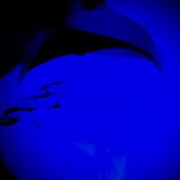 labioscarnosos' Offline Chat Room