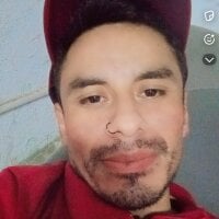PersonalTigers webcam