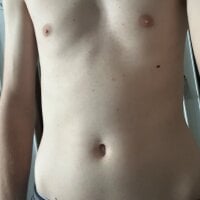 stripboybr-