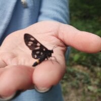 DianaDumitrescu webcam