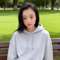 lppyong webcam model