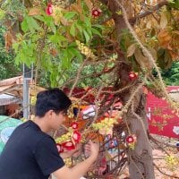 kuken94 webcam model