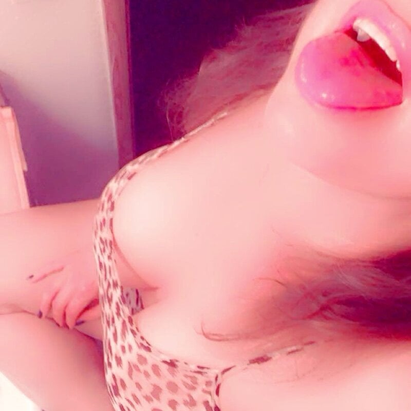 Chubby-Kat50