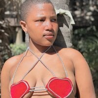 Skyla_2000 webcam
