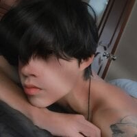 Elio-cam webcam model