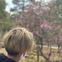 _syu_'s Profile Photo