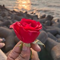 WomenPlayer's Profile Photo