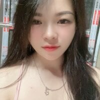 Aminotran webcam model