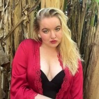 EllaPower webcam model