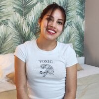 SiaStax webcam model