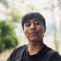FlpGmz