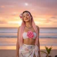 Модель Jules-Angel