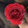 GirLlover_Mumbai