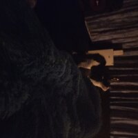 kittyfonttn Offline chat-huone