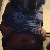 Peckerwolf webcam