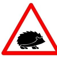 Iwtfhcuta99's Avatar Pic