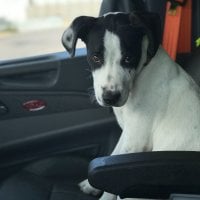 blackoutlaw's Avatar Pic