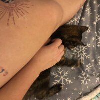 Pokój czatu offline – norakkk00