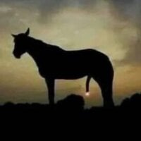 Donkey_Hung's Profile Pic