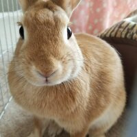 DaiDaikichi-77のアバター写真