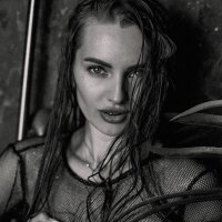 Viola_sweet's Profile Photo