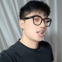 wa1843 webcam