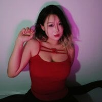 xilay-aa webcam model