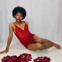 Image d’avatar de Mystt_Hunters