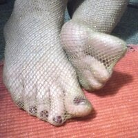 slutpuppydoggystyle's Offline Chat Room