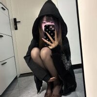 Flive-duo webcam model