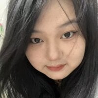 Leericc webcam model