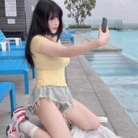 Ascension-Yi webcam model