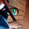 renatinhosilva68