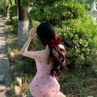 Xiao--Lin webcam model