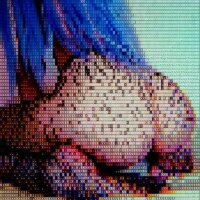 Sala de chat offline de misslunablu69