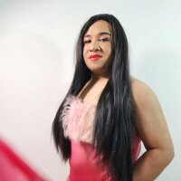 Модель juice_space