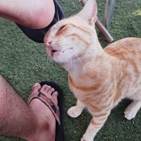 Tico_DE_77's Profile Photo