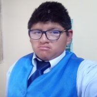 Bolivartupapi