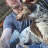 Minutemaid24 头像图片