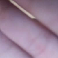 patdoped Poză avatar