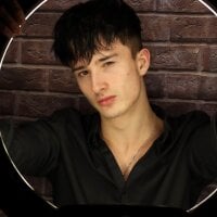 SirReed webcam model