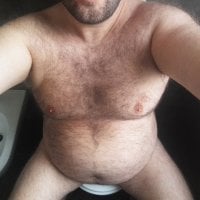 theitalianbear's Profile Pic