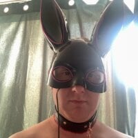 Rooierakker3000 webcam