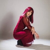shy_yumeko