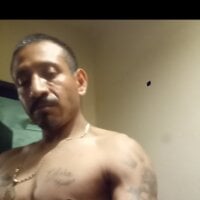 pajarocalifas4035 webcam model