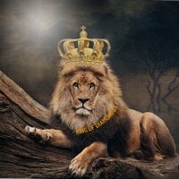 king_of_diamondss' Profile Pic