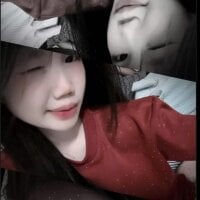 llm-bae webcam model