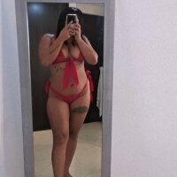 lasofi2024 webcam model