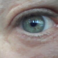 ddylsliving's Offline Chat Room