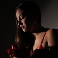 Foto do avatar de Videl_Star